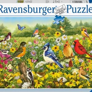 Puzzel Vogels in de wei        / G3 R11         (4005555003366)