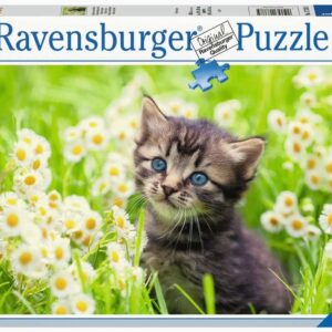 Puzzel Katjes in de wei        / G3 R11         (4005555003670)