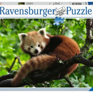 Puzzel Schattige rode panda    / G3 R11         (4005556173815)