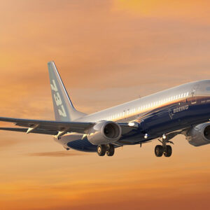 Boeing 737-800                 /                (4009803263809)