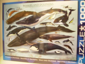 Puzzel Whale/Dolph 1000st