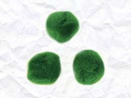 Pompons 10mm groen