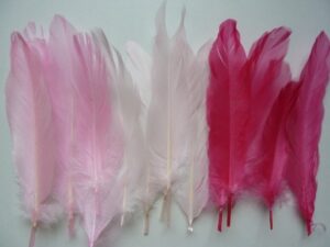 Veren ROZE/ROOD