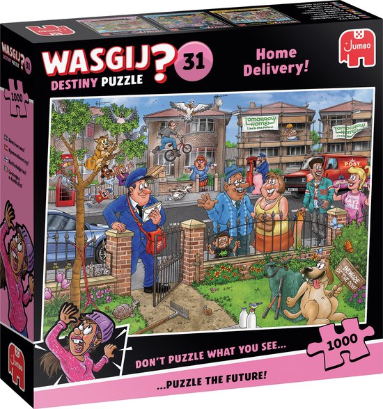 Wasgij Destiny 31-Home Deliver